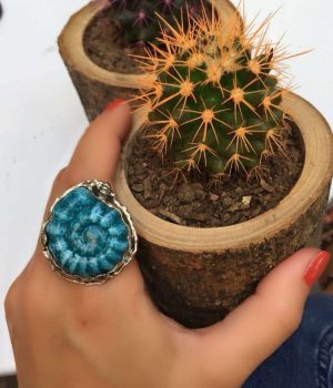 Alternative view of Amonit  AÇIK Grafit Kalıp