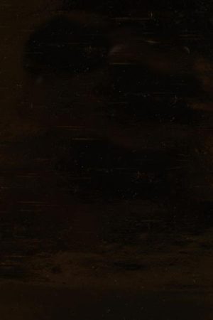 PENCERE CAMINA UYUMLU Siyah Renkli Opak Plaka Cam